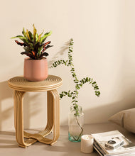 Load image into Gallery viewer, Calm Rose