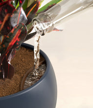 Load image into Gallery viewer, Deep Navy stand:all