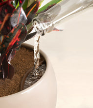 Load image into Gallery viewer, Desert Brown stand:all