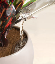 Load image into Gallery viewer, Winter Clouds stand:all