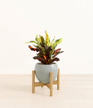 Load image into Gallery viewer, Deep Ocean stand:bamboo