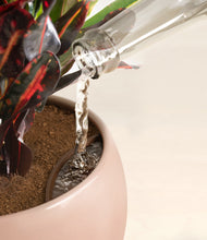 Load image into Gallery viewer, Calm Rose stand:all