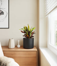 Load image into Gallery viewer, Black