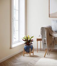 Load image into Gallery viewer, Deep Navy stand:bamboo