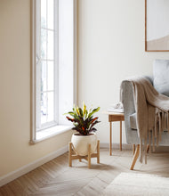 Load image into Gallery viewer, Shiny EggWhite stand:bamboo