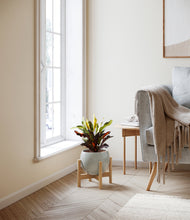 Load image into Gallery viewer, Deep Ocean stand:bamboo