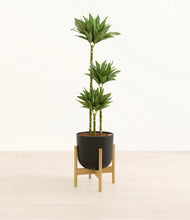 Load image into Gallery viewer, Stone Black stand:bamboo