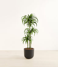 Load image into Gallery viewer, Stone Black*****Profile