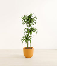 Load image into Gallery viewer, Sunset Orange*****Profile