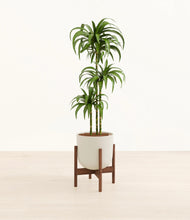 Load image into Gallery viewer, Natural Bamboo stand:walnut