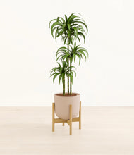 Load image into Gallery viewer, Sandy Pink stand:bamboo