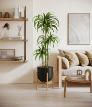 Load image into Gallery viewer, Stone Black stand:bamboo