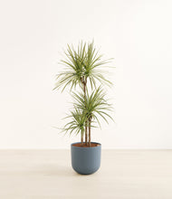 Load image into Gallery viewer, Iron Gray*****Profile