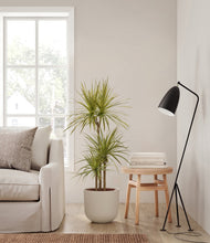 Load image into Gallery viewer, Natural Bamboo