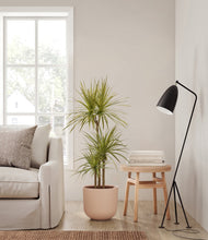 Load image into Gallery viewer, Sandy Pink