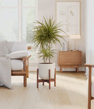 Load image into Gallery viewer, Natural Bamboo stand:walnut