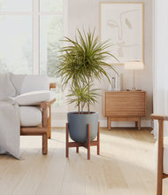 Load image into Gallery viewer, Iron Gray stand:walnut