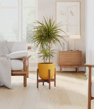 Load image into Gallery viewer, Sunset Orange stand:walnut