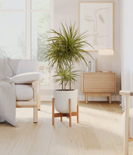 Load image into Gallery viewer, Natural Bamboo stand:bamboo