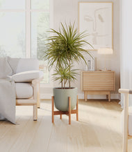 Load image into Gallery viewer, Sage Green stand:bamboo