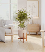 Load image into Gallery viewer, Sandy Pink stand:bamboo