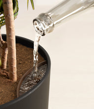 Load image into Gallery viewer, Stone Black stand:all