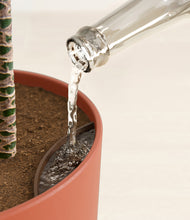 Load image into Gallery viewer, Earth Red stand:all