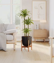 Load image into Gallery viewer, Stone Black stand:bamboo