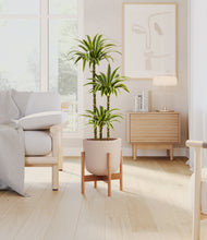 Load image into Gallery viewer, Sandy Pink stand:bamboo
