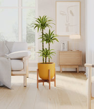 Load image into Gallery viewer, Sunset Orange stand:bamboo