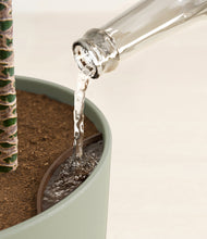 Load image into Gallery viewer, Sage Green stand:all