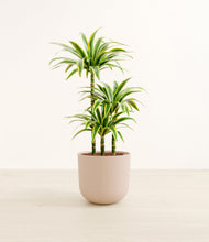 Load image into Gallery viewer, Sandy Pink*****Profile