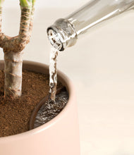 Load image into Gallery viewer, Sandy