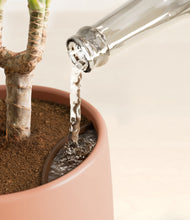 Load image into Gallery viewer, Evening Sky