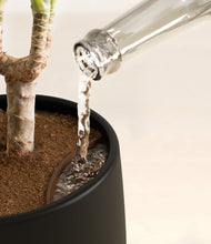 Load image into Gallery viewer, Charcoal