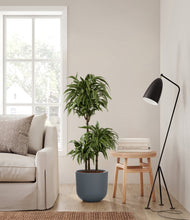 Load image into Gallery viewer, Iron Gray