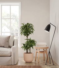 Load image into Gallery viewer, Sandy Pink