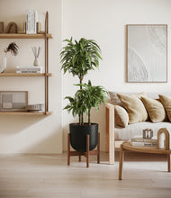 Load image into Gallery viewer, Stone Black stand:walnut