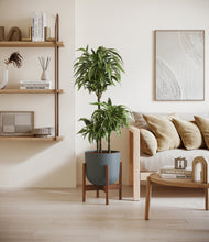 Load image into Gallery viewer, Iron Gray stand:walnut