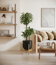 Load image into Gallery viewer, Stone Black stand:bamboo