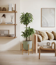 Load image into Gallery viewer, Sage Green stand:bamboo