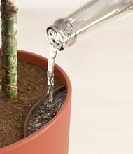 Load image into Gallery viewer, Earth Red stand:all