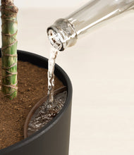 Load image into Gallery viewer, Stone Black stand:all