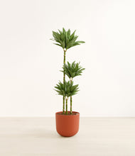 Load image into Gallery viewer, Earth Red*****Profile