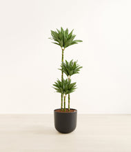 Load image into Gallery viewer, Stone Black*****Profile