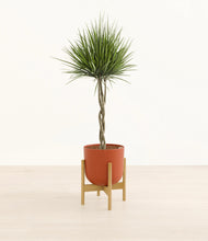 Load image into Gallery viewer, Earth Red stand:bamboo