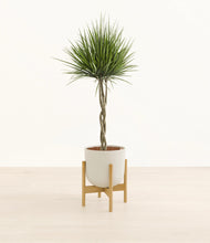 Load image into Gallery viewer, Natural Bamboo stand:bamboo