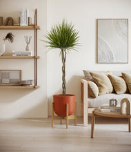 Load image into Gallery viewer, Earth Red stand:bamboo