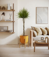 Load image into Gallery viewer, Sunset Orange stand:bamboo