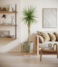 Load image into Gallery viewer, Sage Green stand:bamboo